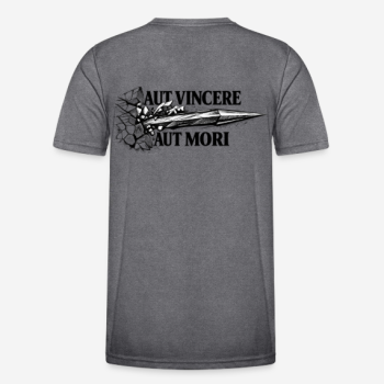 Preview: AUT VINCERE AUT MORI Regular T-Shirt in grau mit Rückendruck